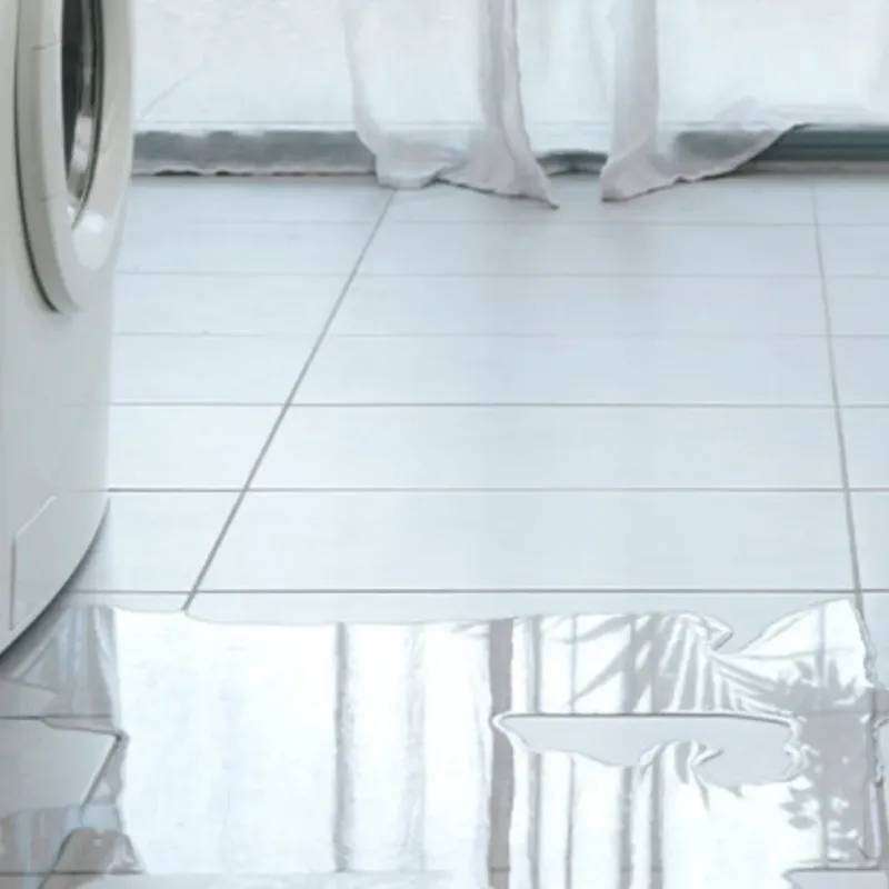 Appliance Leak Cleanup in Weston, MA