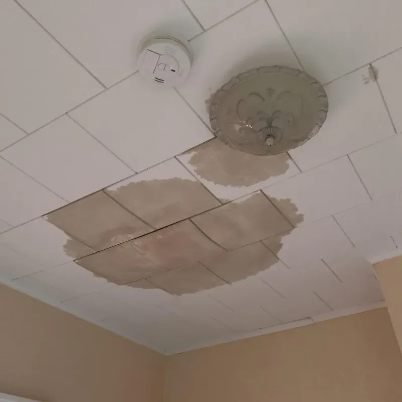 Ceiling Water Damage Repair in Weston, MA