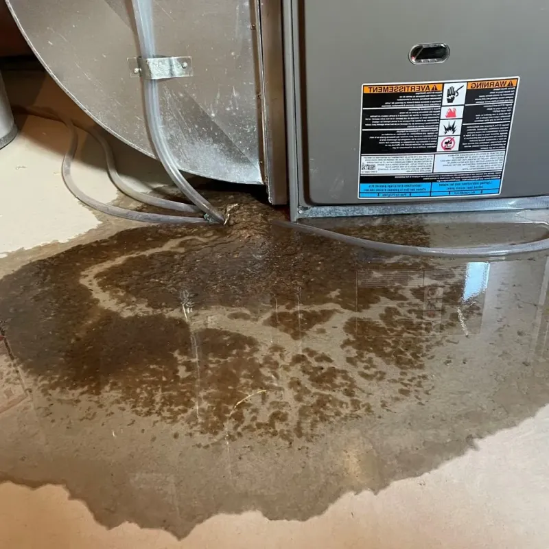 Pipe Burst and Leak Restoration in Weston, MA